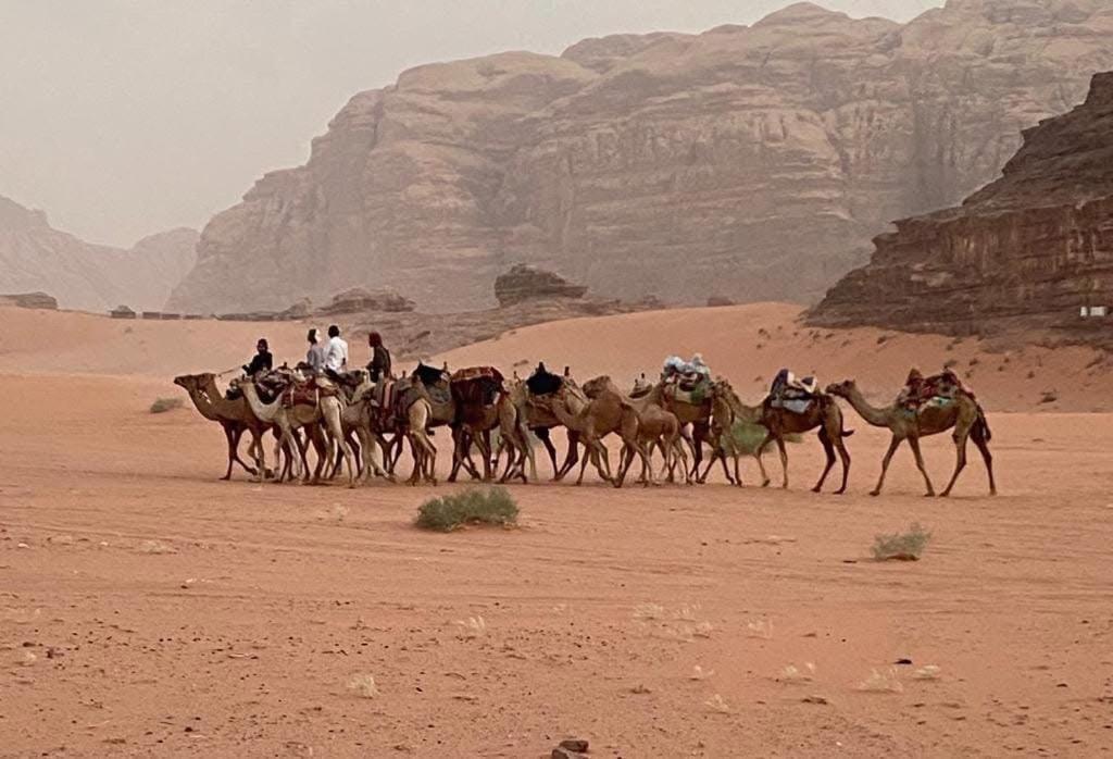 Wadi Rum Trail Exterior foto