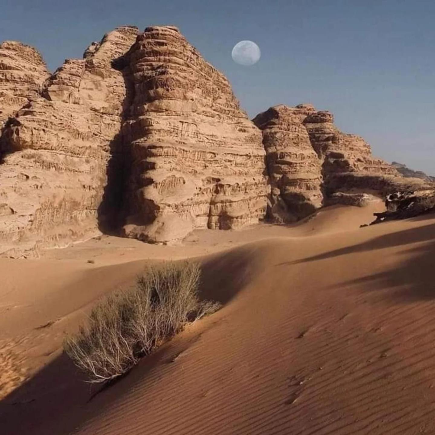 Wadi Rum Trail Exterior foto